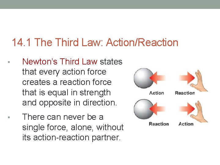 14. 1 The Third Law: Action/Reaction • Newton’s Third Law states that every action