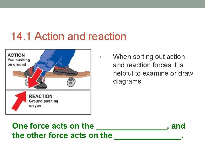 14. 1 Action and reaction • When sorting out action and reaction forces it