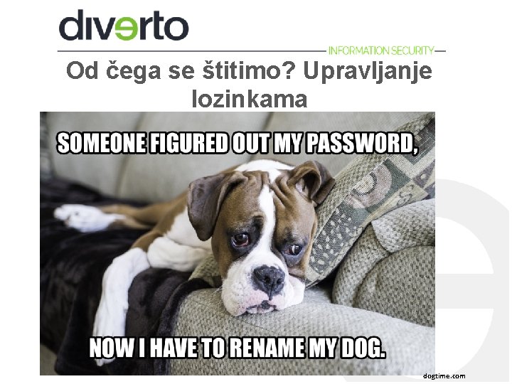 Od čega se štitimo? Upravljanje lozinkama dogtime. com 
