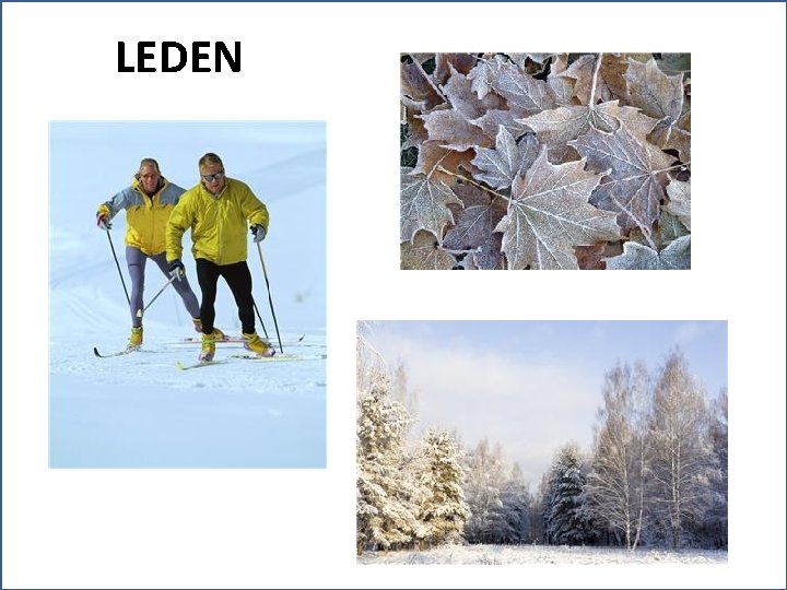 LEDEN 