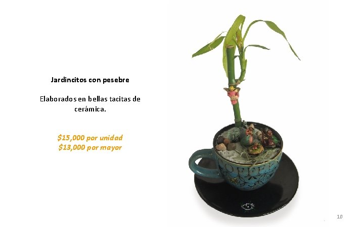 Jardincitos con pesebre Elaborados en bellas tacitas de cerámica. $15, 000 por unidad $13,
