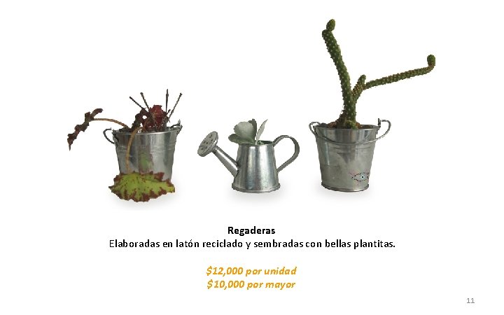 Regaderas Elaboradas en latón reciclado y sembradas con bellas plantitas. $12, 000 por unidad