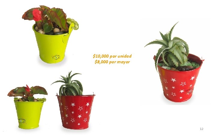 $10, 000 por unidad $8, 000 por mayor 12 