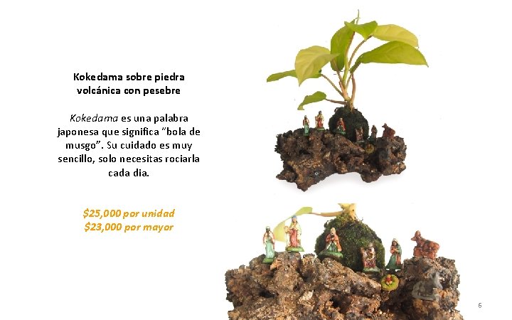Kokedama sobre piedra volcánica con pesebre Kokedama es una palabra japonesa que significa “bola