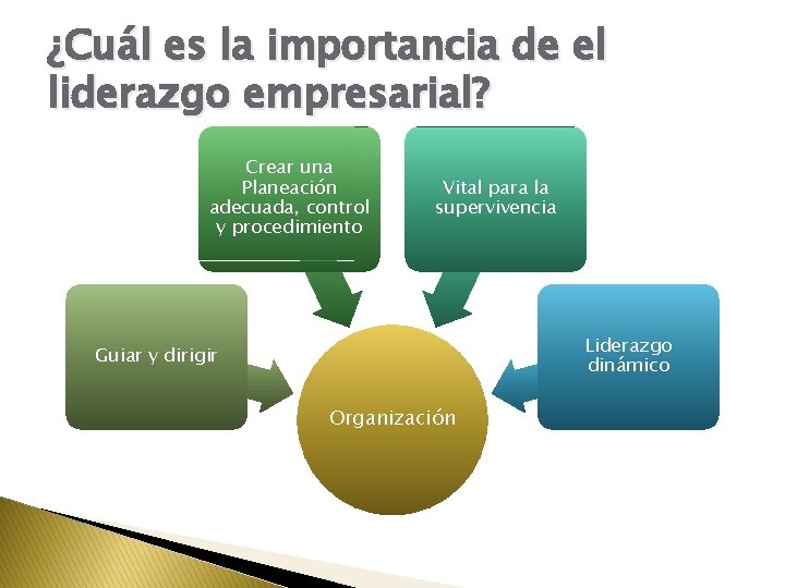 ¿Cuál es la importancia de el liderazgo empresarial? Crear una Planeación adecuada, control y
