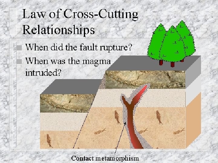 Cross-Cutting 