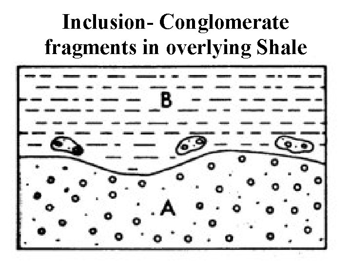 Inclusion- Conglomerate fragments in overlying Shale 