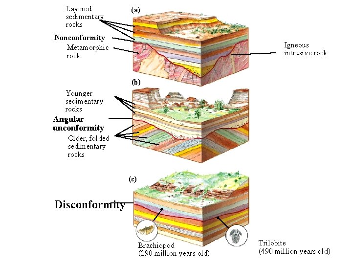 Layered sedimentary rocks (a) 8_9 Nonconformity Metamorphic rock Igneous intrusive rock (b) Younger sedimentary