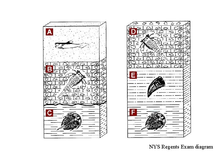NYS Regents Exam diagram 