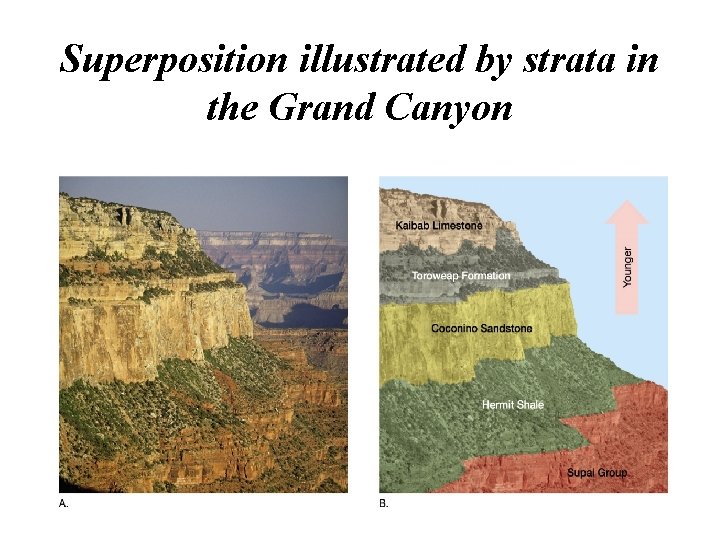 Superposition illustrated by strata in the Grand Canyon 