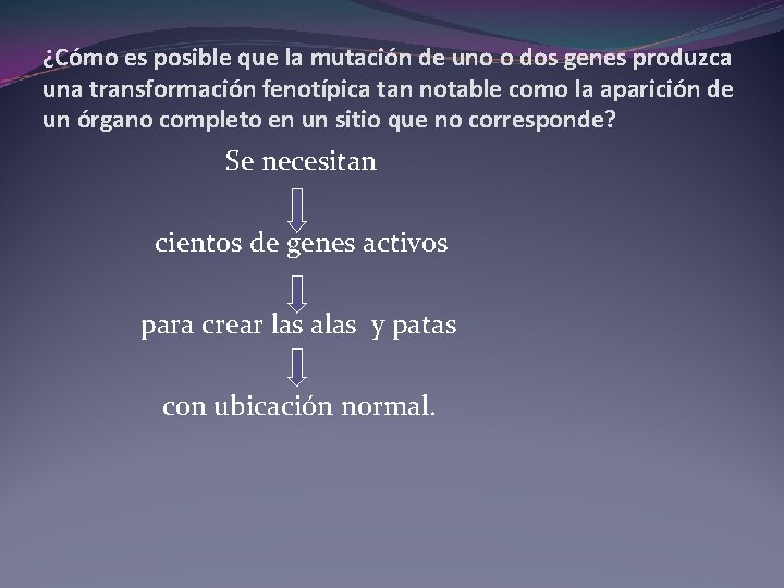¿Cómo es posible que la mutación de uno o dos genes produzca una transformación ¿Cómo es posible que la mutación de uno o dos genes produzca una transformación
