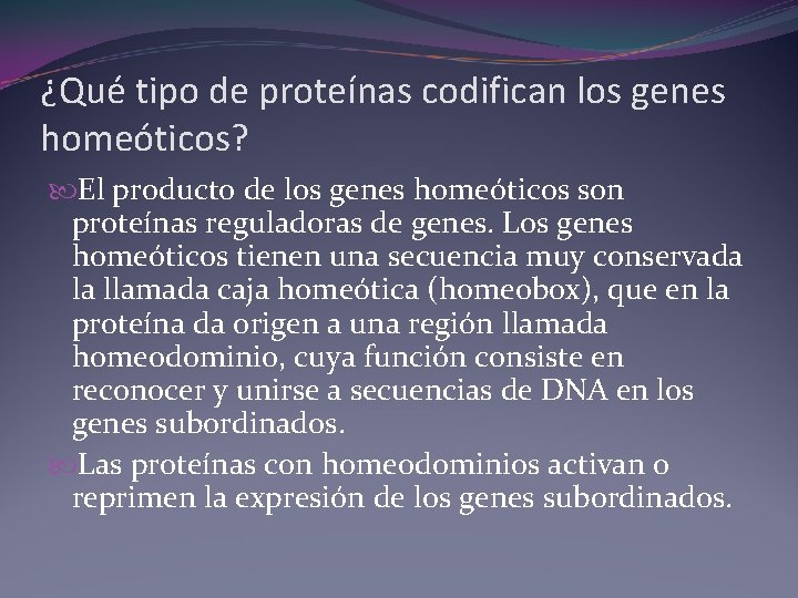 ¿Qué tipo de proteínas codifican los genes homeóticos? El producto de los genes homeóticos ¿Qué tipo de proteínas codifican los genes homeóticos? El producto de los genes homeóticos