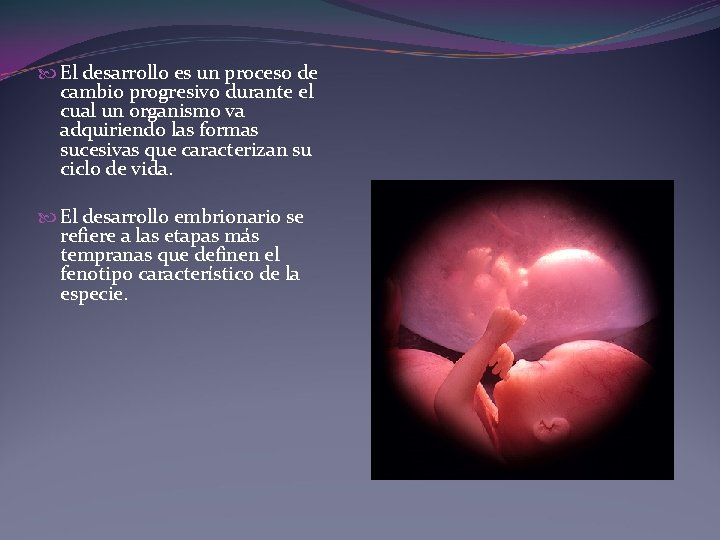 El desarrollo es un proceso de cambio progresivo durante el cual un organismo El desarrollo es un proceso de cambio progresivo durante el cual un organismo