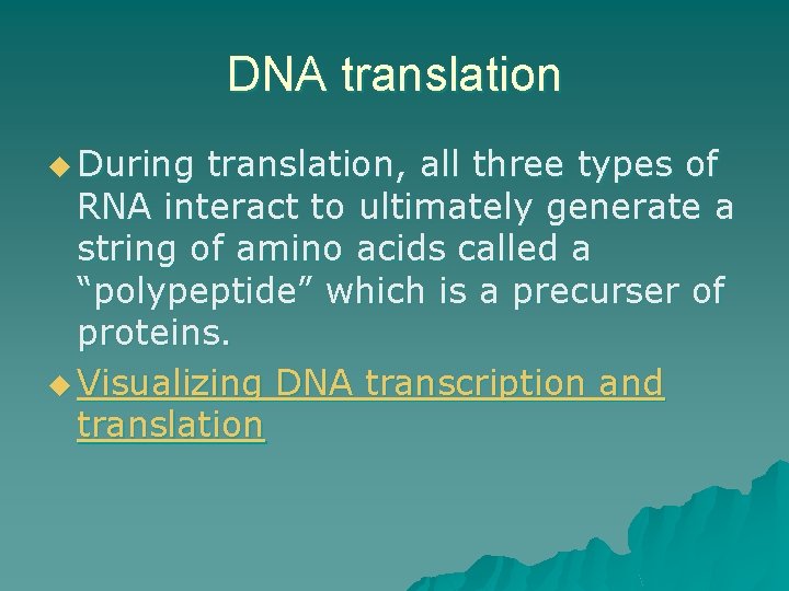 DNA translation u During translation, all three types of RNA interact to ultimately generate