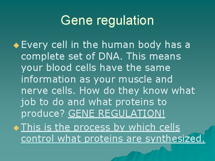 Gene regulation u Every cell in the human body has a complete set of