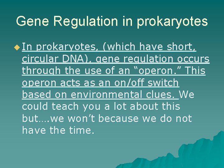Gene Regulation in prokaryotes u In prokaryotes, (which have short, circular DNA), gene regulation