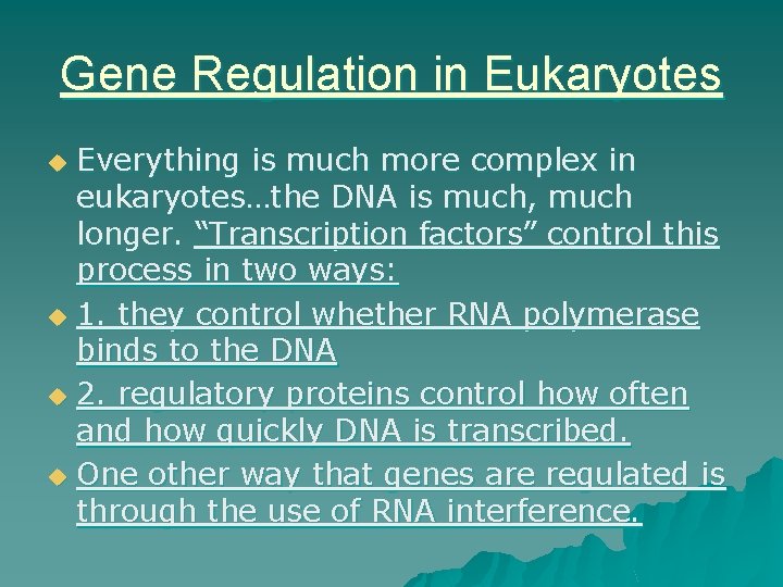 Gene Regulation in Eukaryotes Everything is much more complex in eukaryotes…the DNA is much,