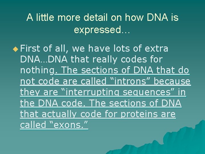 A little more detail on how DNA is expressed… u First of all, we