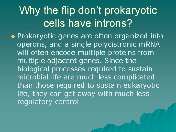 Why the flip don’t prokaryotic cells have introns? u Prokaryotic genes are often organized