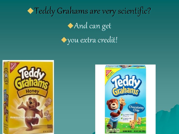 u. Teddy Grahams are very scientific? u. And can get uyou extra credit! 