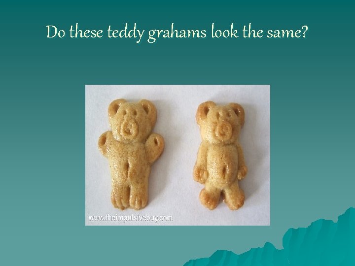 Do these teddy grahams look the same? 