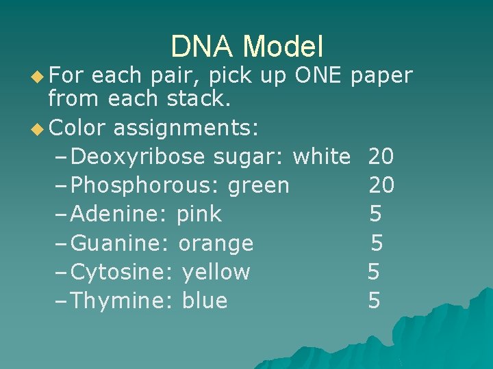 u For DNA Model each pair, pick up ONE paper from each stack. u