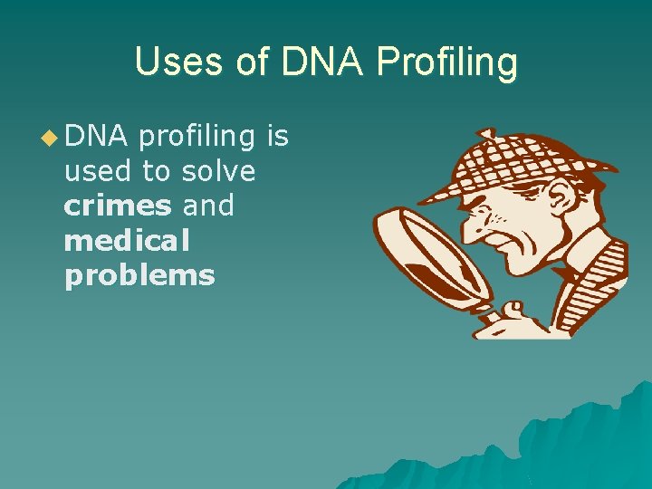 Uses of DNA Profiling u DNA profiling is used to solve crimes and medical