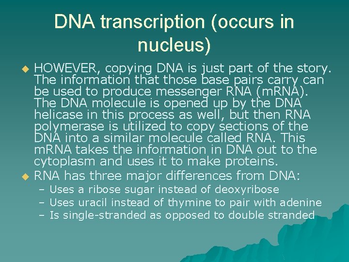 DNA transcription (occurs in nucleus) u u HOWEVER, copying DNA is just part of