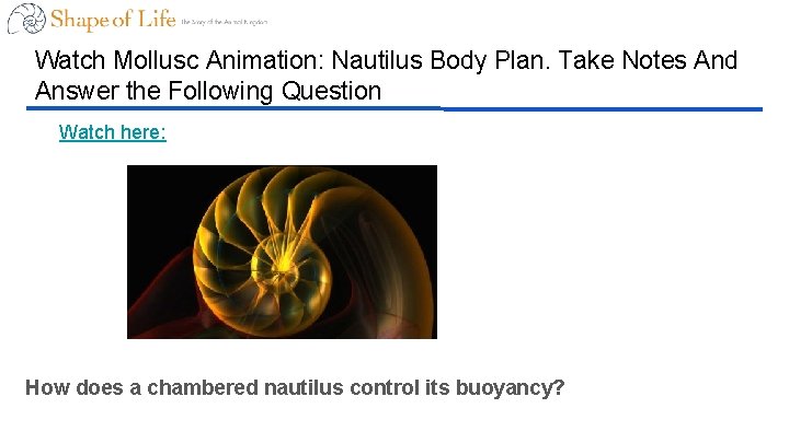 Watch Mollusc Animation: Nautilus Body Plan. Take Notes And Answer the Following Question Watch