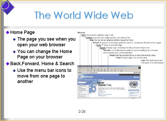 The World Wide Web u Home Page u The page you see when you The World Wide Web u Home Page u The page you see when you