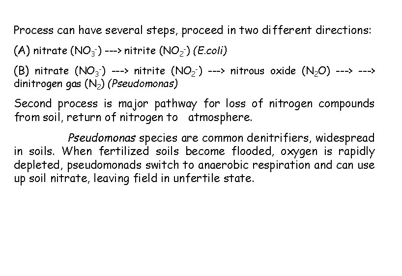 Process can have several steps, proceed in two different directions: (A) nitrate (NO 3