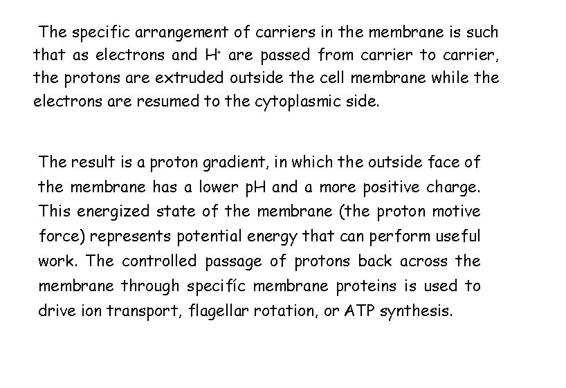 The specific arrangement of carriers in the membrane is such that as electrons and
