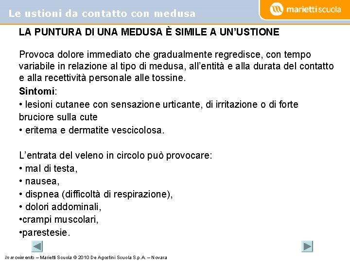 Le ustioni da contatto con medusa LA PUNTURA DI UNA MEDUSA È SIMILE A