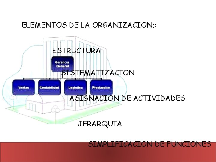 ELEMENTOS DE LA ORGANIZACION; : ESTRUCTURA SISTEMATIZACION ASIGNACION DE ACTIVIDADES JERARQUIA SIMPLIFICACION DE FUNCIONES