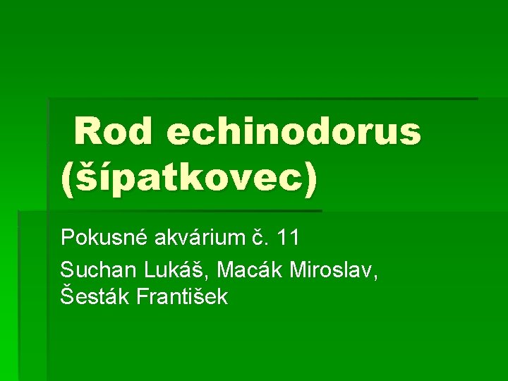 Rod echinodorus (šípatkovec) Pokusné akvárium č. 11 Suchan Lukáš, Macák Miroslav, Šesták František 