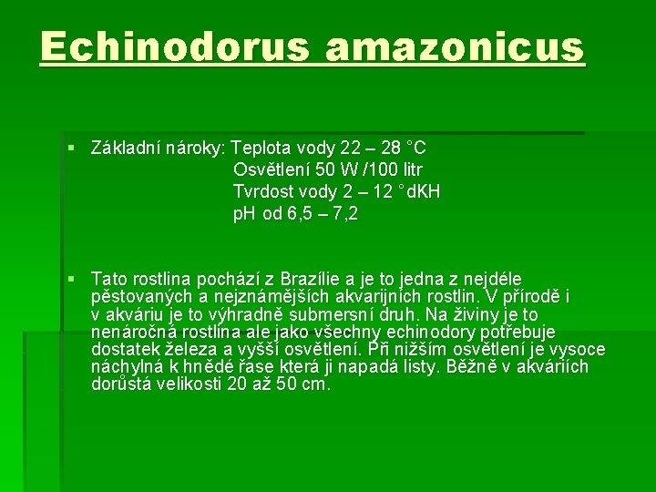 Echinodorus amazonicus § Základní nároky: Teplota vody 22 – 28 °C Osvětlení 50 W