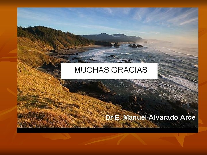 MUCHAS GRACIAS Muchas Gracias !! Dr E. Manuel Alvarado Arce 