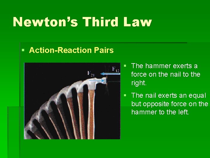 Newton’s Third Law § Action-Reaction Pairs § The hammer exerts a force on the