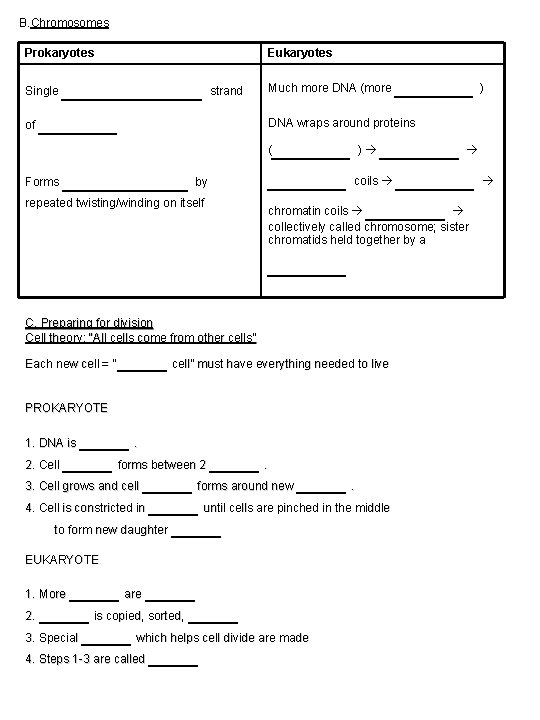 B. Chromosomes Prokaryotes _____ strand of _____ Single Eukaryotes Much more DNA (more _____