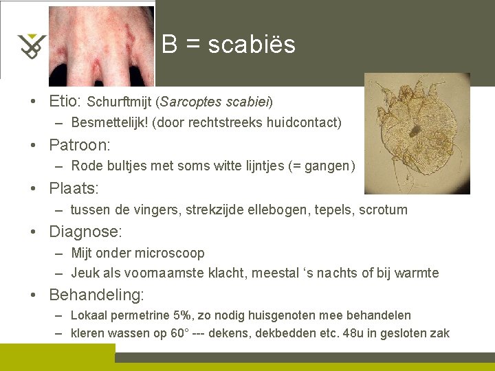 B = scabiës • Etio: Schurftmijt (Sarcoptes scabiei) – Besmettelijk! (door rechtstreeks huidcontact) •