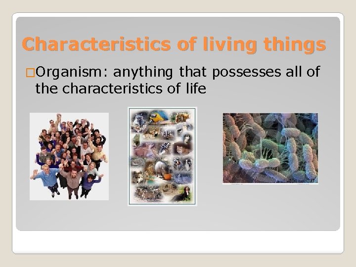 Characteristics of living things �Organism: anything that possesses all of the characteristics of life