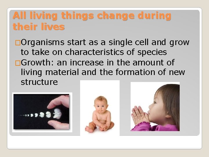 All living things change during their lives �Organisms start as a single cell and