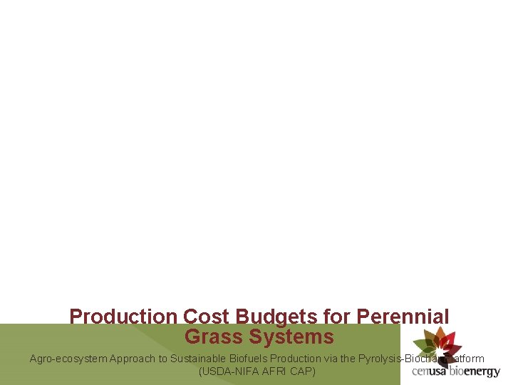 Production Cost Budgets for Perennial Grass Systems Agro-ecosystem Approach to Sustainable Biofuels Production via
