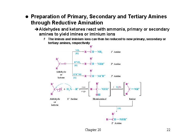 l Preparation of Primary, Secondary and Tertiary Amines through Reductive Amination èAldehydes and ketones