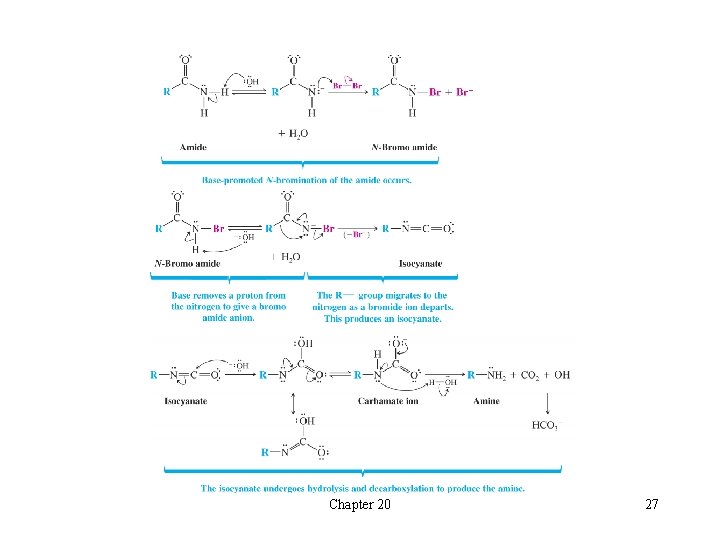 Chapter 20 27 