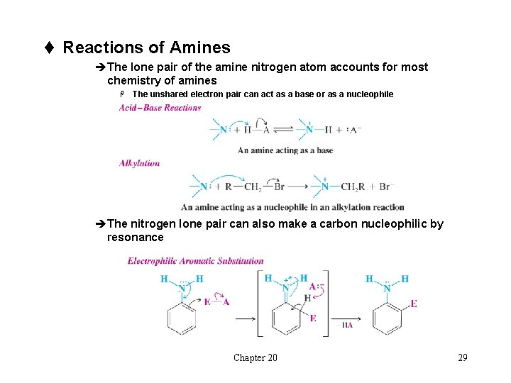 t Reactions of Amines èThe lone pair of the amine nitrogen atom accounts for