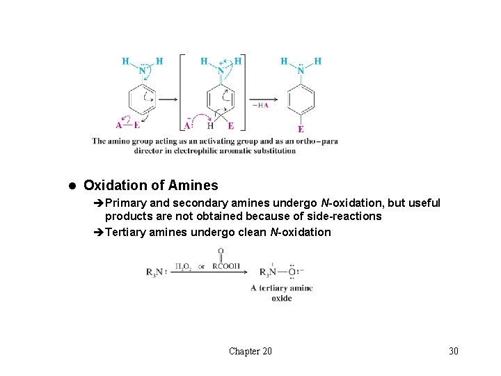 l Oxidation of Amines èPrimary and secondary amines undergo N-oxidation, but useful products are