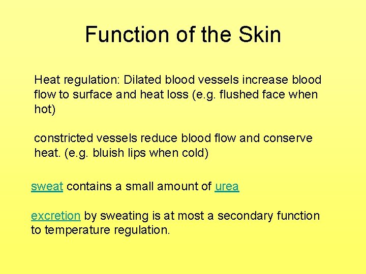 Function of the Skin Heat regulation: Dilated blood vessels increase blood flow to surface Function of the Skin Heat regulation: Dilated blood vessels increase blood flow to surface