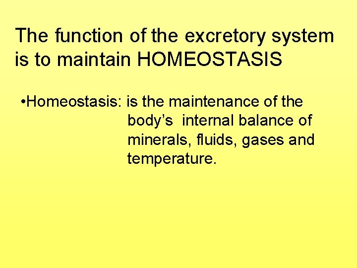 The function of the excretory system is to maintain HOMEOSTASIS • Homeostasis: is the The function of the excretory system is to maintain HOMEOSTASIS • Homeostasis: is the