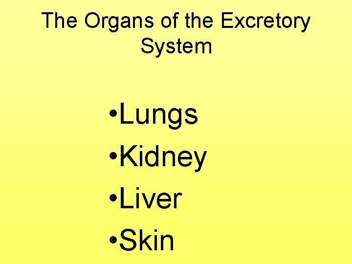 The Organs of the Excretory System • Lungs • Kidney • Liver • Skin